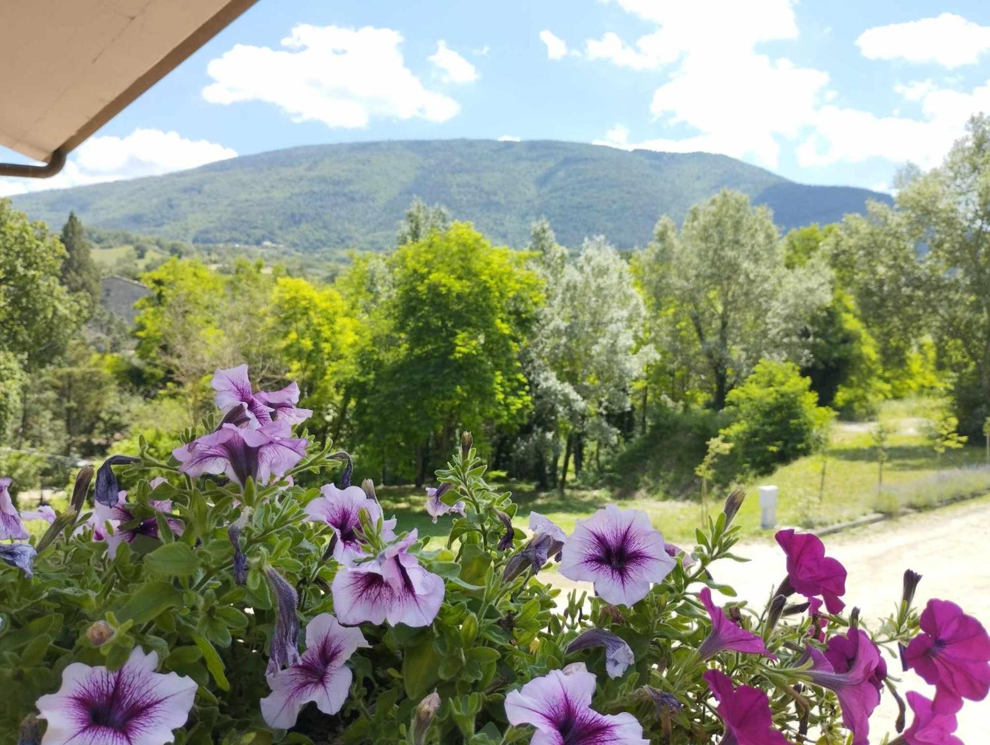 Pianpieve Nature & Relax Apartments Assisi Exteriér fotografie