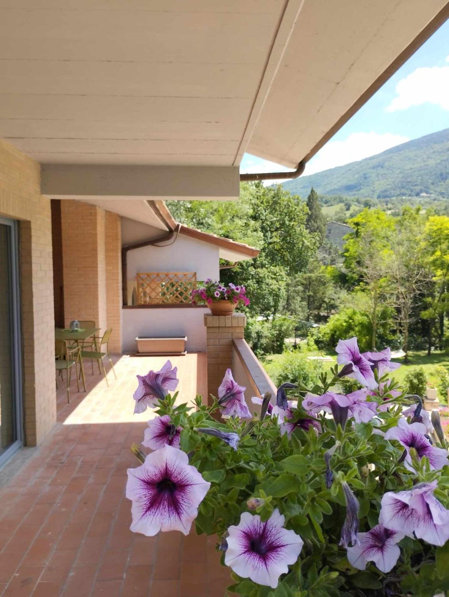 Pianpieve Nature & Relax Apartments Assisi Exteriér fotografie