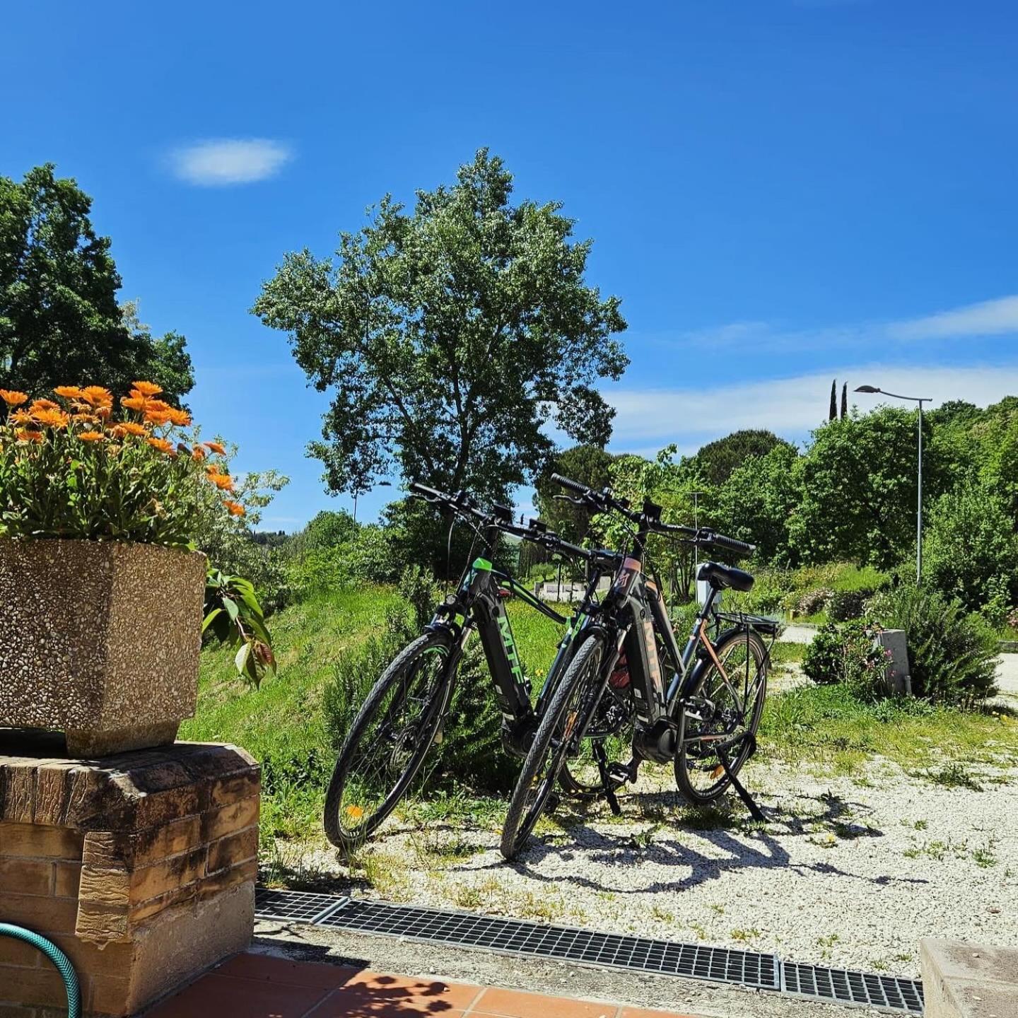 Pianpieve Nature & Relax Apartments Assisi Exteriér fotografie